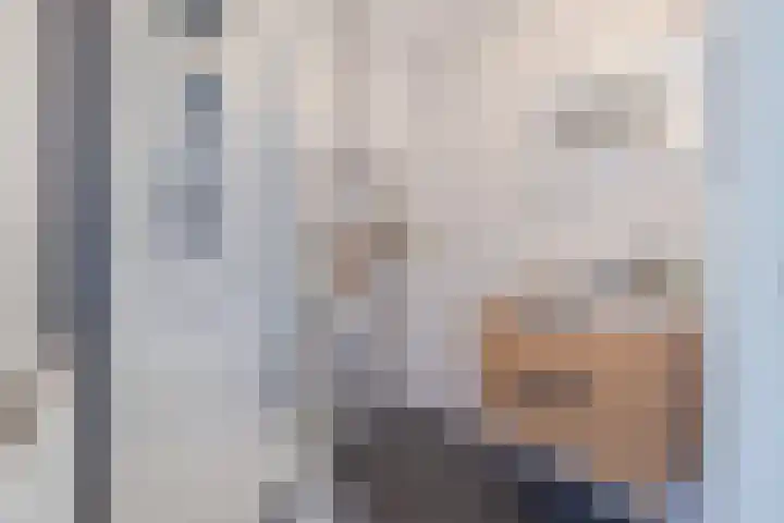 Tinnegietersdreef 46 B Maastricht thumbnail 17