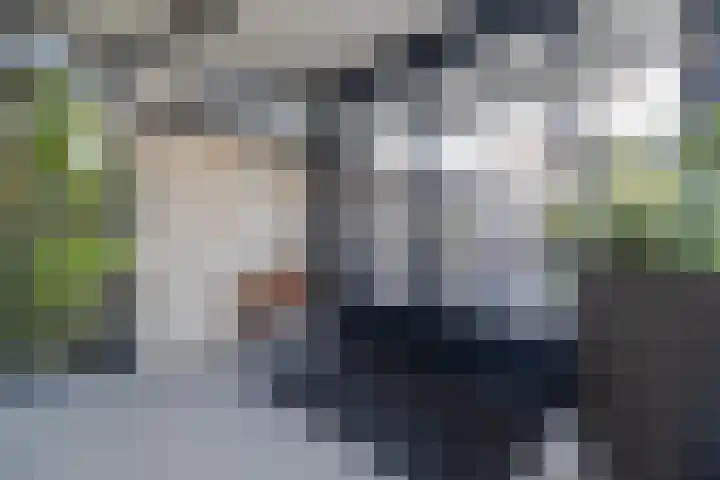 Tinnegietersdreef 46 B Maastricht thumbnail 21