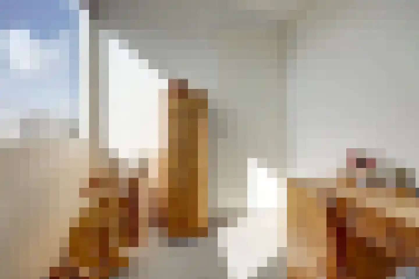 Tinnegietersgilde 17 Dronten thumbnail 26