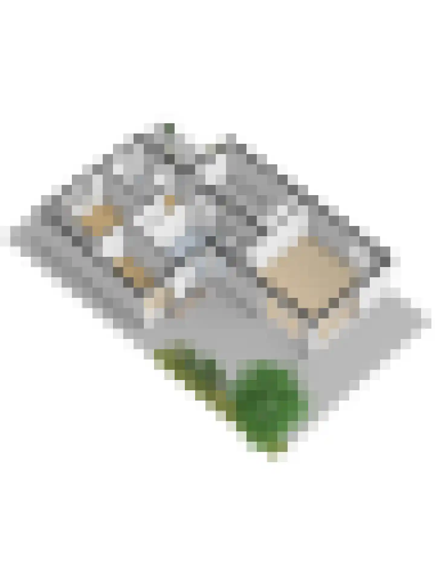 Tinnegietersgilde 17 Dronten thumbnail 48