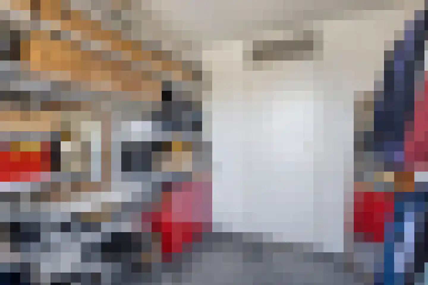 Tinnegieterstraat 10 Breda thumbnail 23