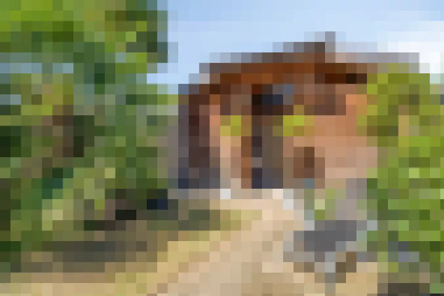 Tinnegieterstraat 10 Breda thumbnail 33
