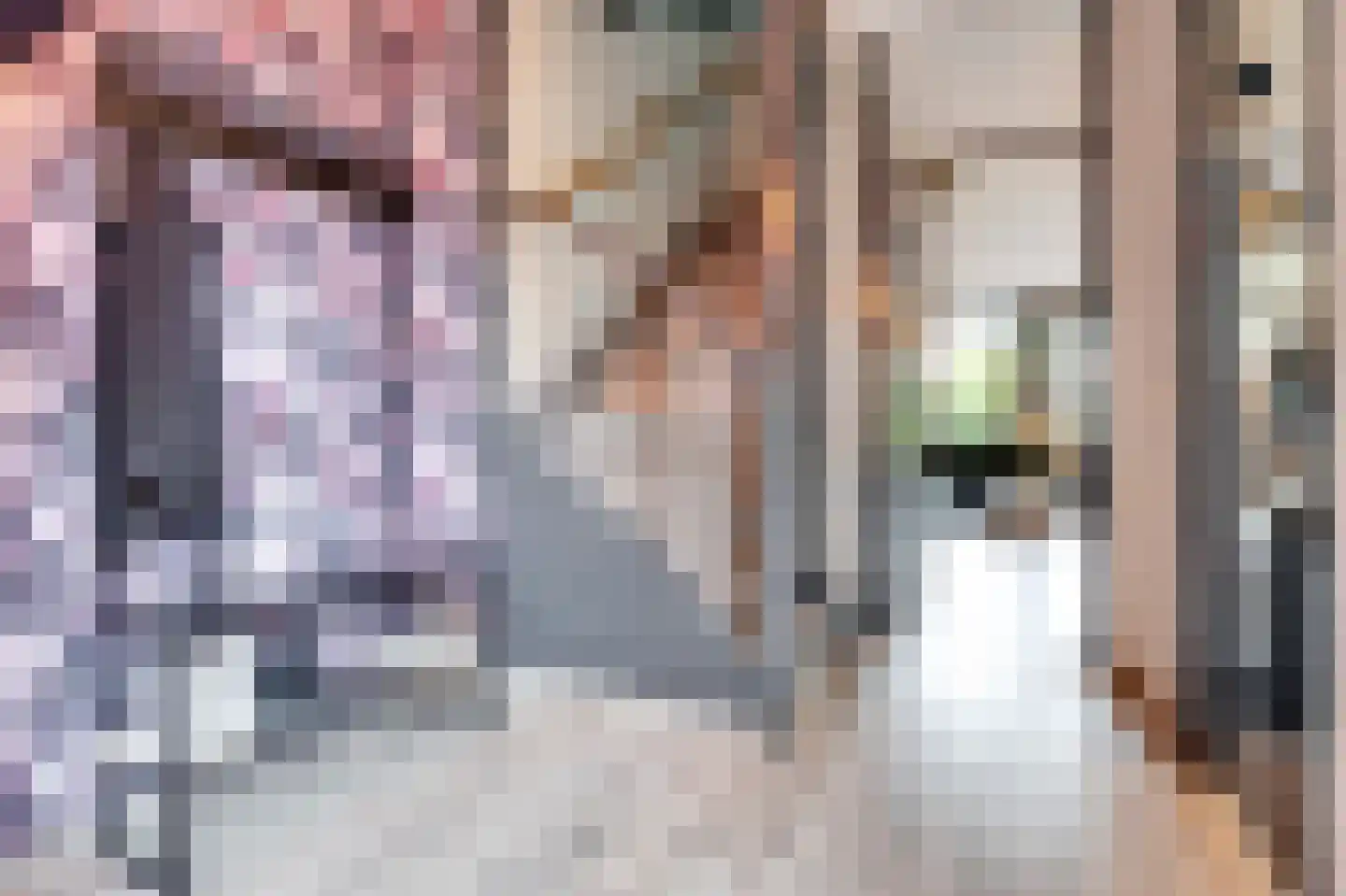 Tinnegieterstraat 28 Alkmaar thumbnail 12