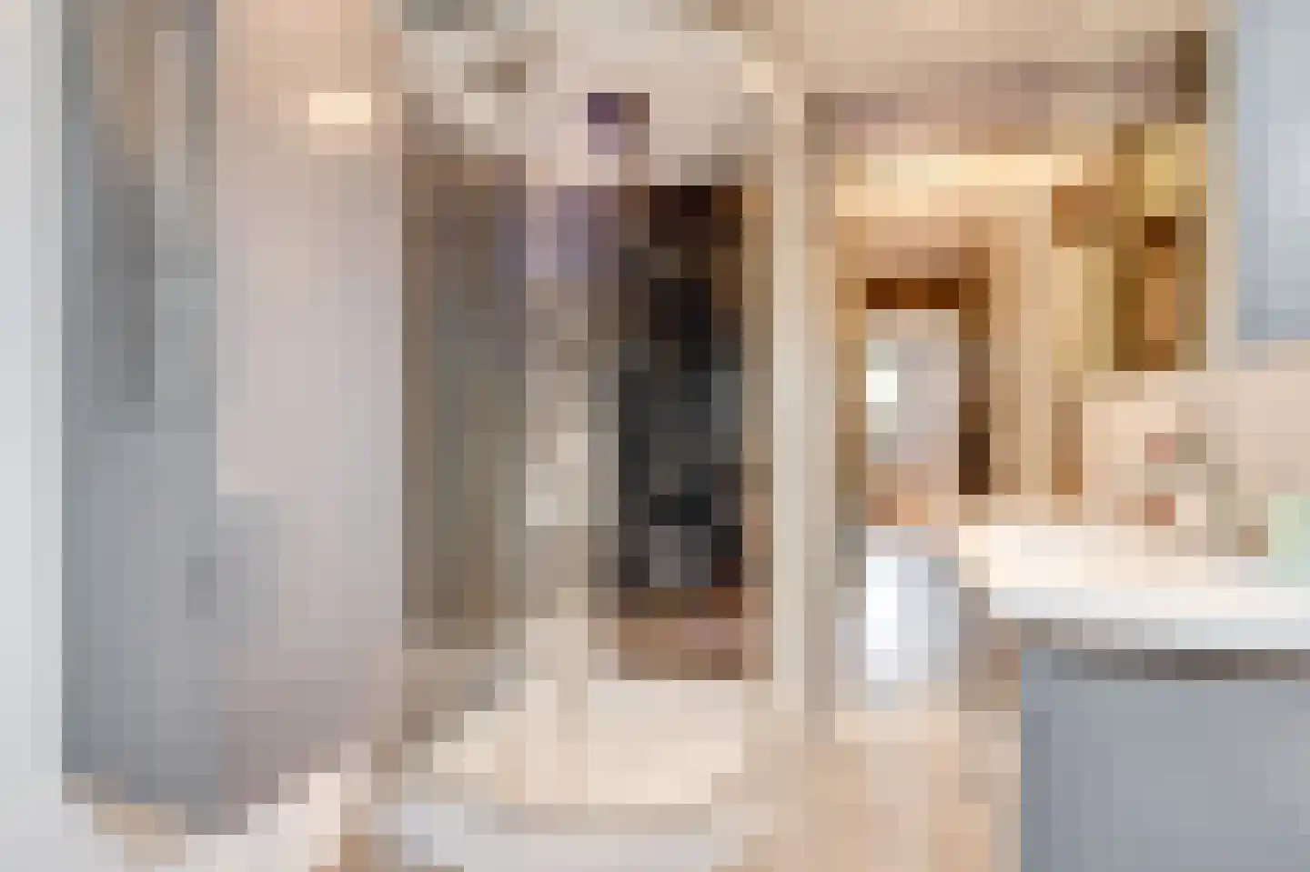 Tinnegieterstraat 28 Alkmaar thumbnail 20
