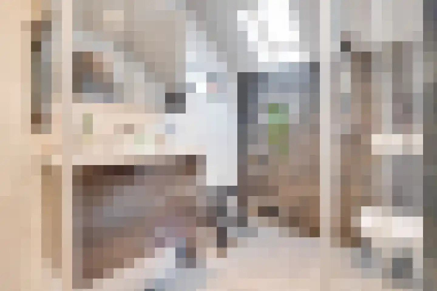 Tinnegieterstraat 28 Alkmaar thumbnail 22