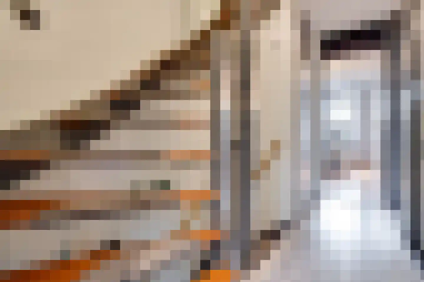 Tinnegieterstraat 28 Alkmaar thumbnail 23