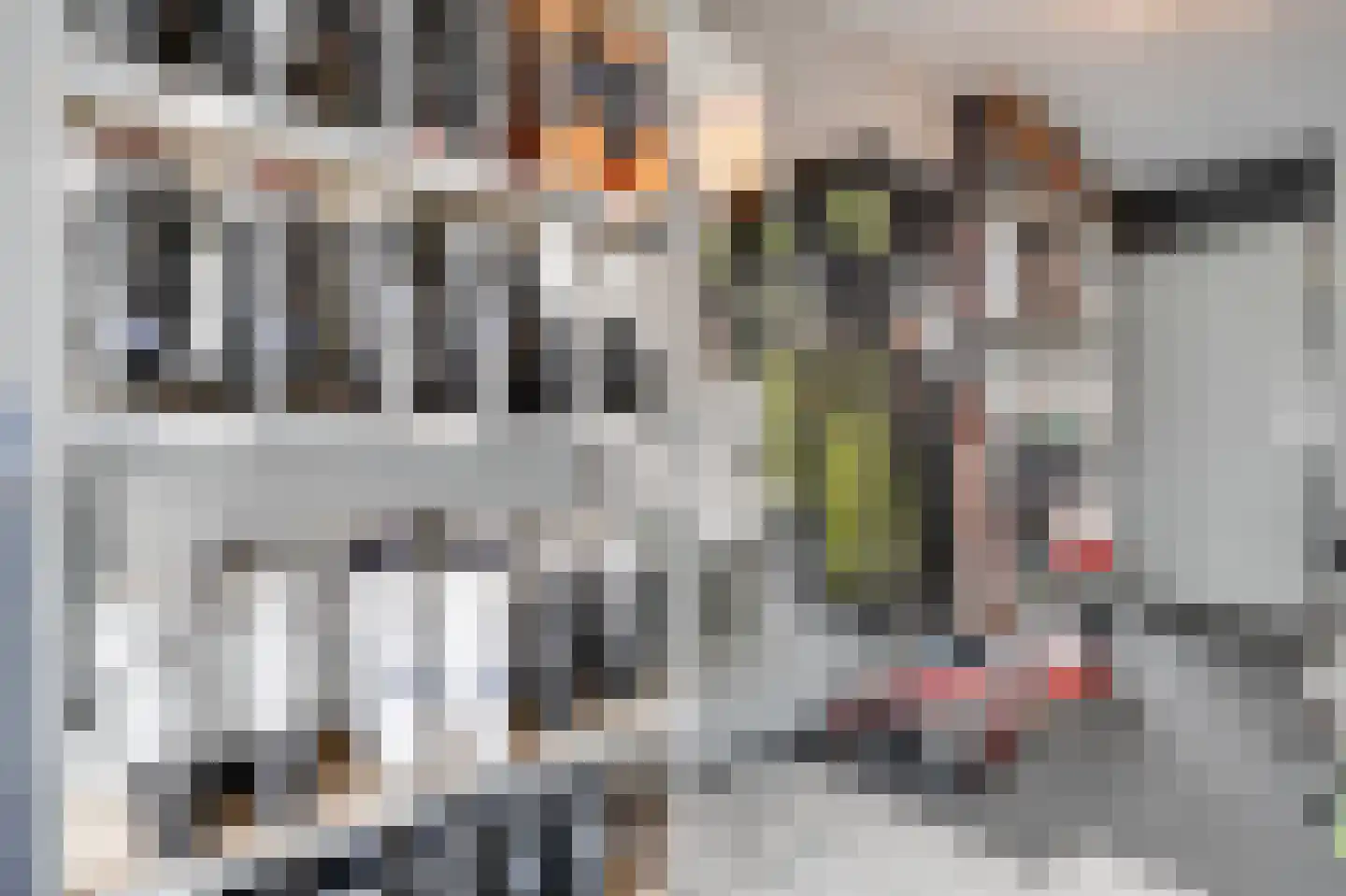 Tinnegieterstraat 28 Alkmaar thumbnail 27