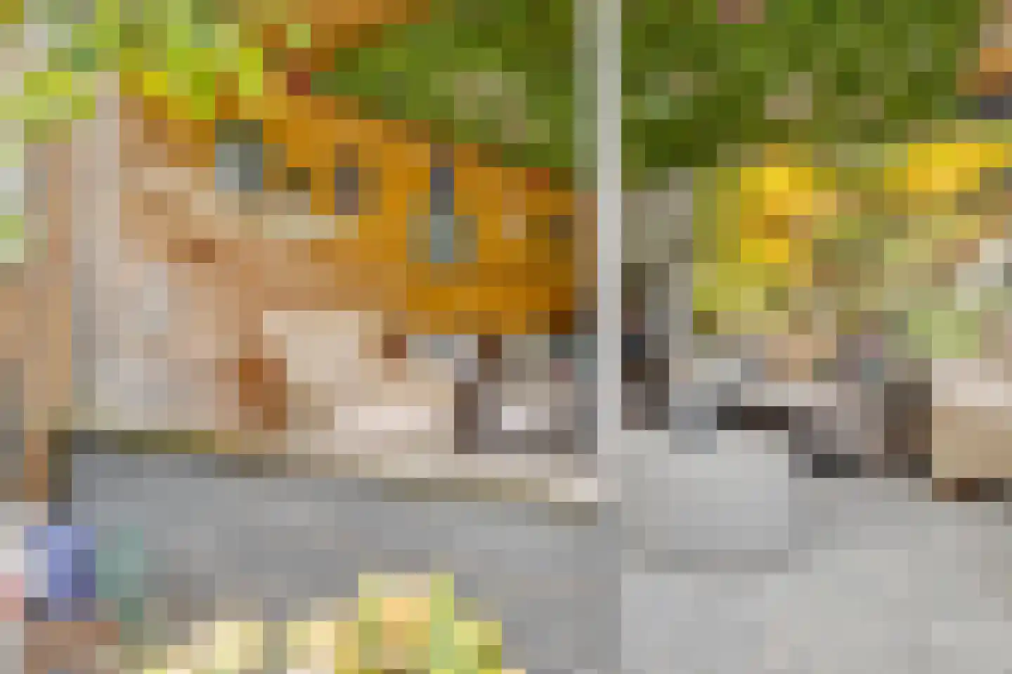 Tinnegieterstraat 28 Alkmaar thumbnail 30