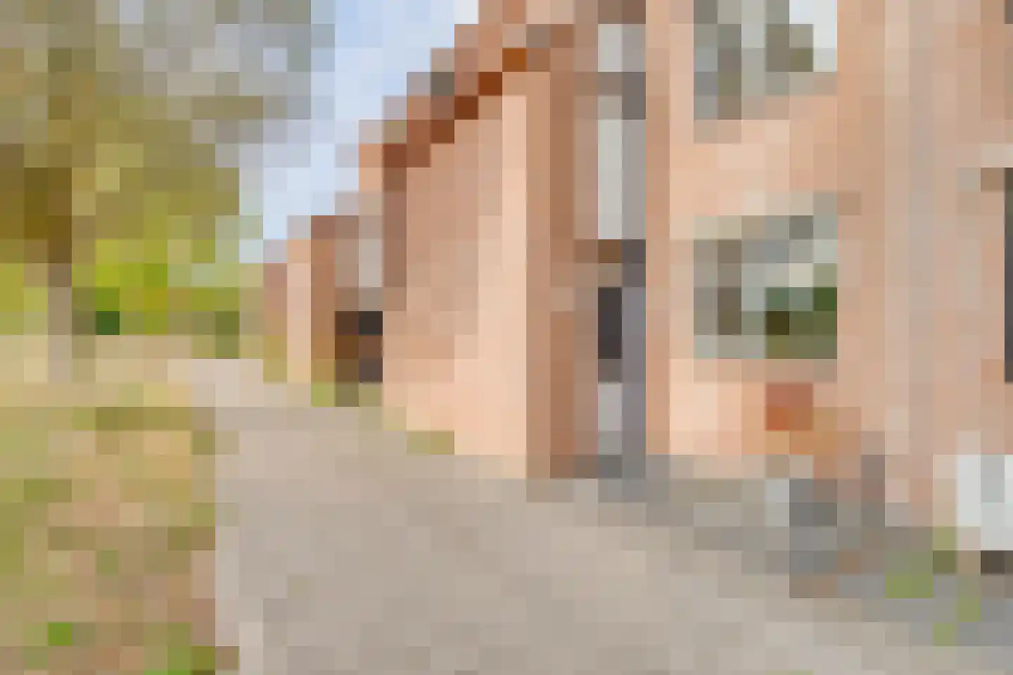 Tinnegieterstraat 28 Alkmaar thumbnail 41