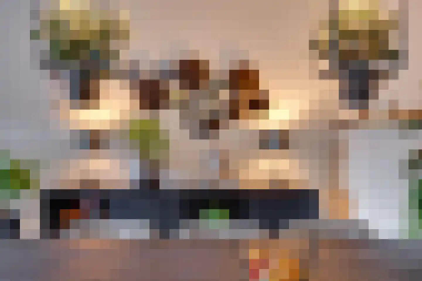 Tinnegieterstraat 28 Alkmaar thumbnail 7