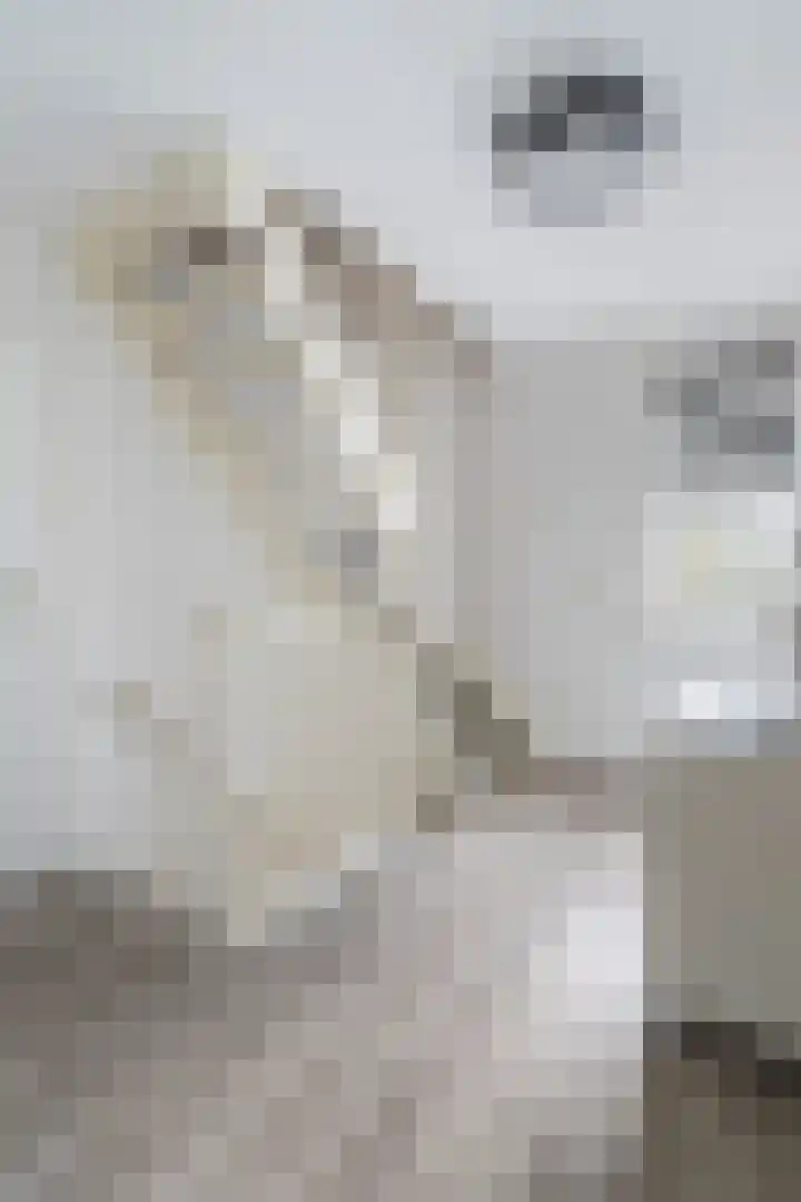Tinnegietersweg 17 Weert thumbnail 36