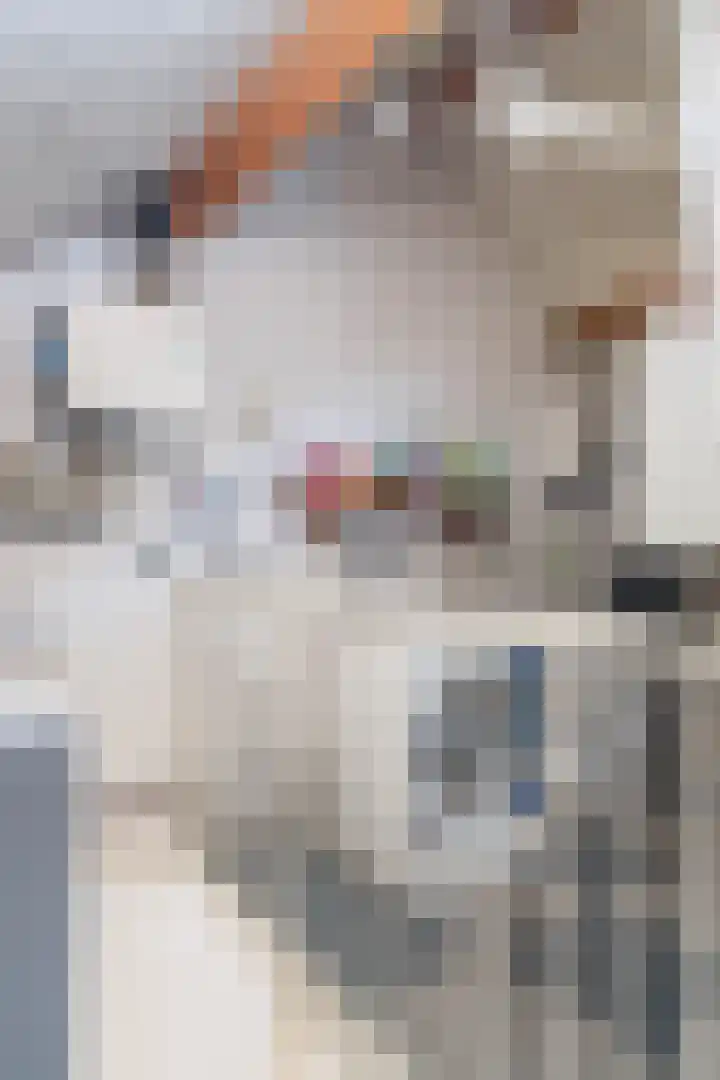 Tinnegietersweg 17 Weert thumbnail 37
