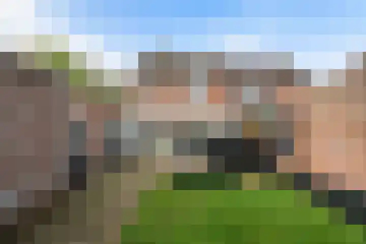 Tinnegietersweg 17 Weert thumbnail 42