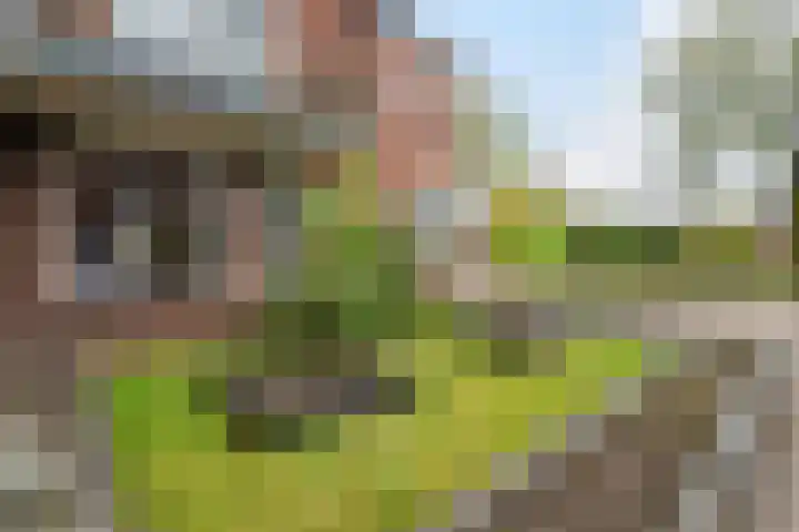 Tinnegietersweg 17 Weert thumbnail 7