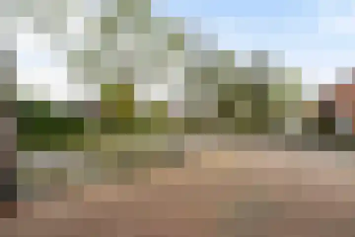 Tinnegietersweg 17 Weert thumbnail 9