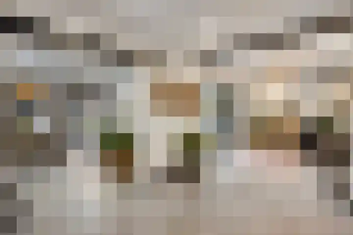 Tinnegietersweg 28 Weert thumbnail 13