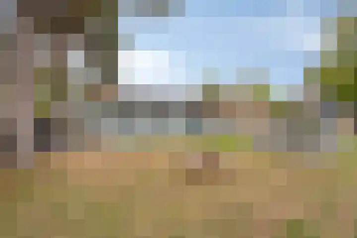 Tinnegietersweg 28 Weert thumbnail 36