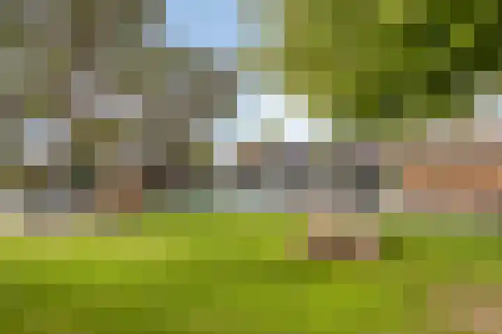 Tinnegietersweg 28 Weert thumbnail 37