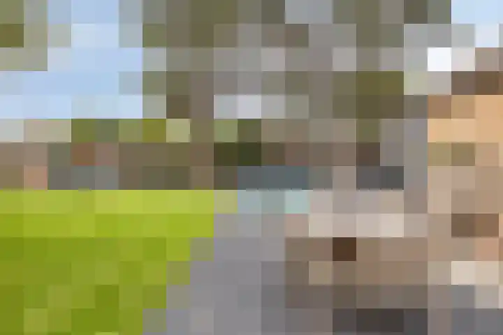 Tinnegietersweg 28 Weert thumbnail 38