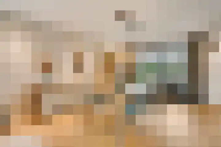 Tinnegietersweg 35 Weert thumbnail 12