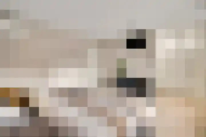 Tinnegietersweg 35 Weert thumbnail 24
