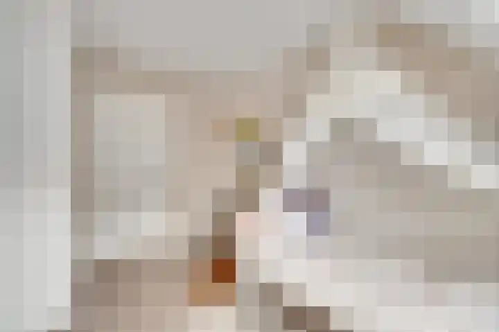 Tinnegietersweg 35 Weert thumbnail 27