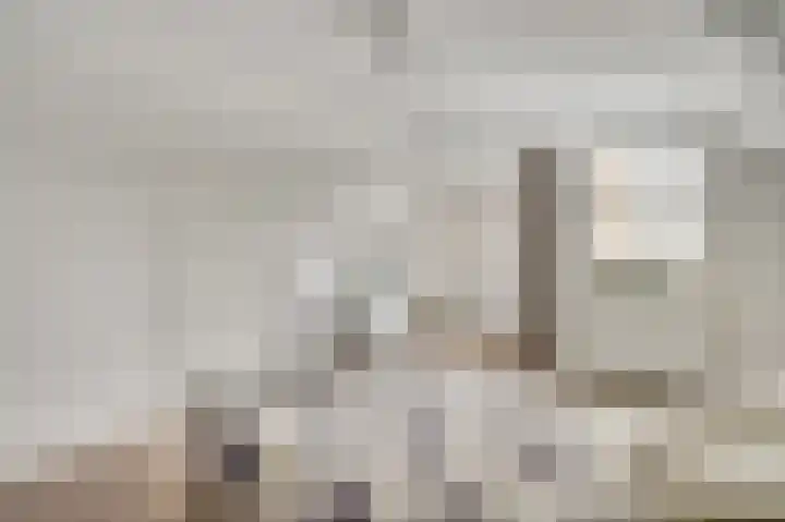 Tinnegietersweg 35 Weert thumbnail 30