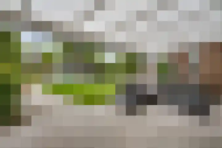 Tinnegietersweg 35 Weert thumbnail 34