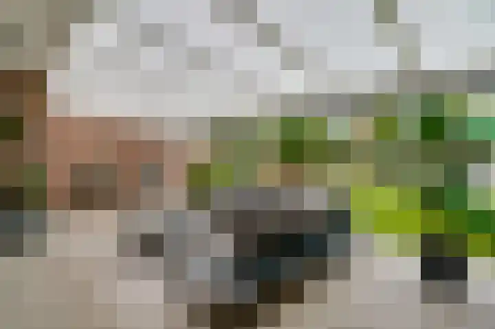 Tinnegietersweg 35 Weert thumbnail 35