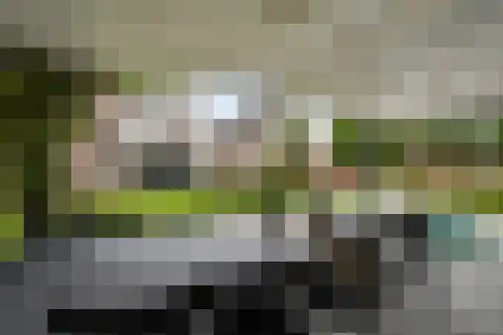 Tinnegietersweg 35 Weert thumbnail 39