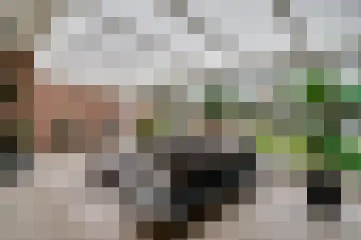 Tinnegietersweg 35 Weert thumbnail 41