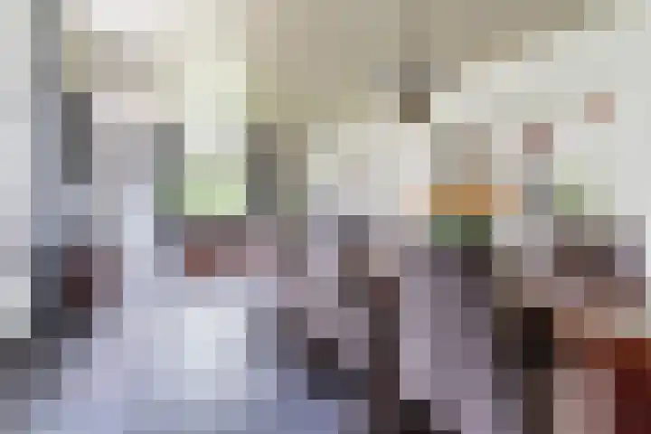Tinnen Pot 6 Lage Mierde thumbnail 11