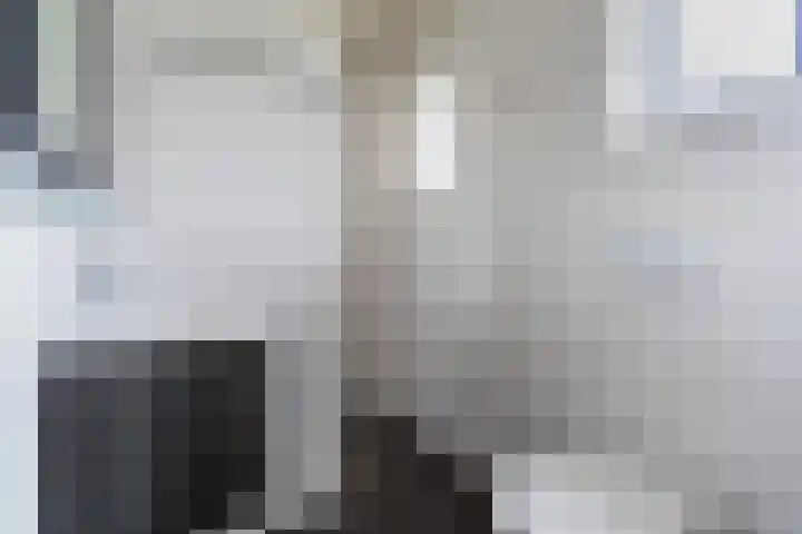 Tinnen Pot 6 Lage Mierde thumbnail 12