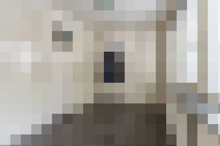 Tinnen Pot 6 Lage Mierde thumbnail 15