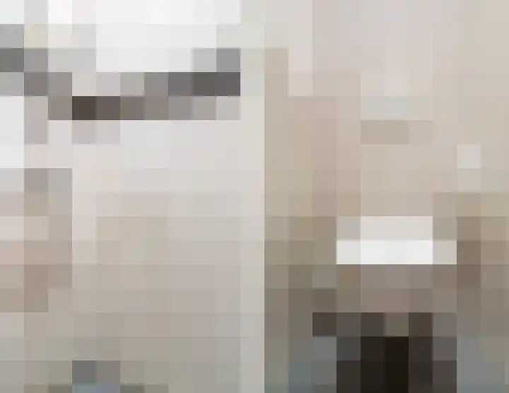Tinnen Pot 6 Lage Mierde thumbnail 21