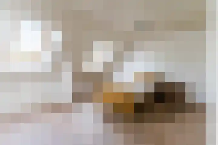 Tinnen Pot 6 Lage Mierde thumbnail 38