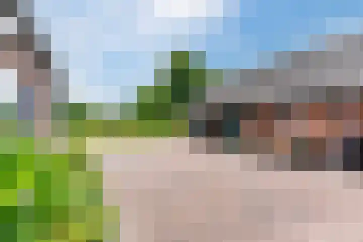 Tinnen Pot 6 Lage Mierde thumbnail 41