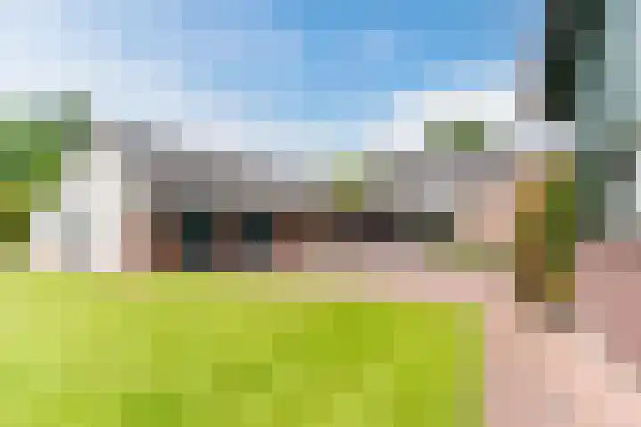 Tinnen Pot 6 Lage Mierde thumbnail 42