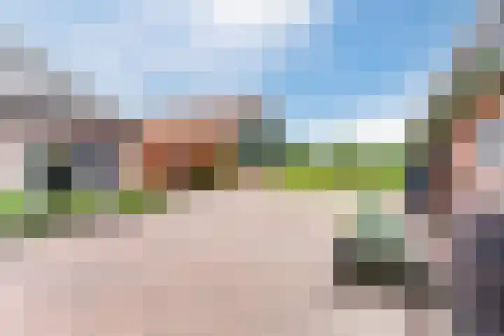Tinnen Pot 6 Lage Mierde thumbnail 54