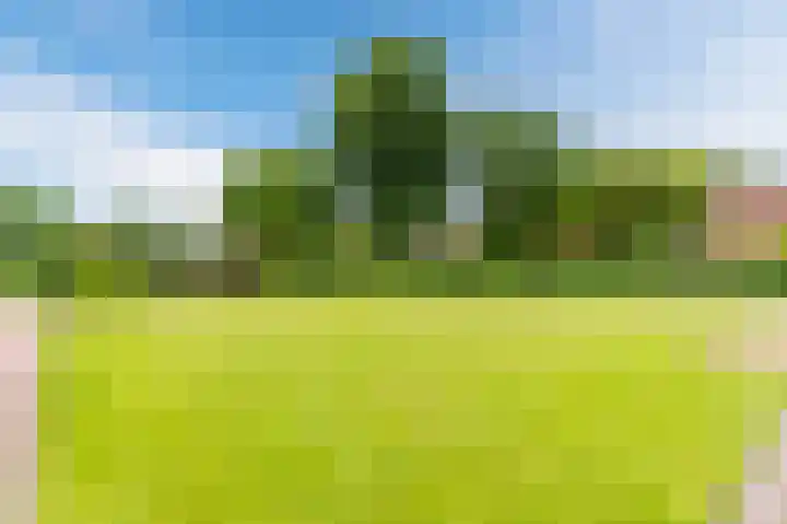 Tinnen Pot 6 Lage Mierde thumbnail 55
