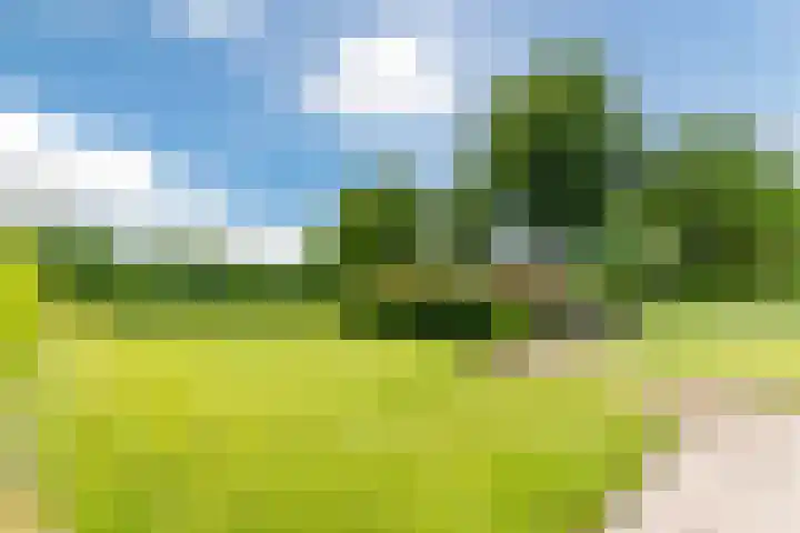Tinnen Pot 6 Lage Mierde thumbnail 56
