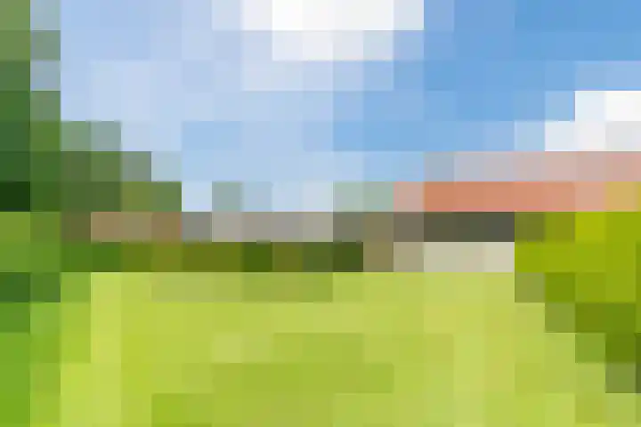 Tinnen Pot 6 Lage Mierde thumbnail 58