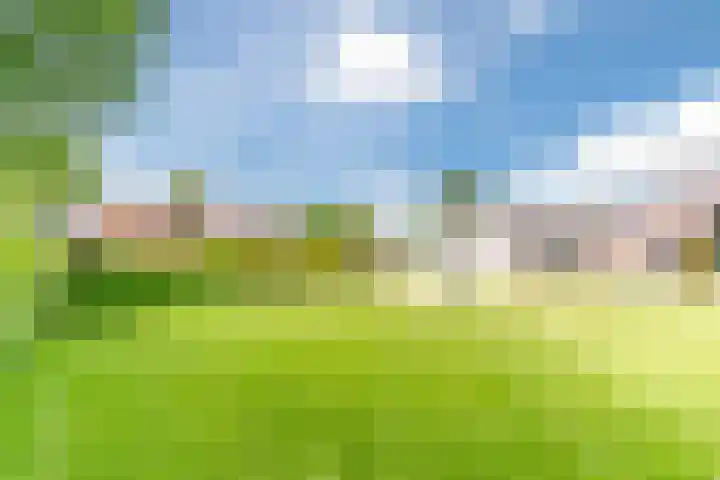 Tinnen Pot 6 Lage Mierde thumbnail 59