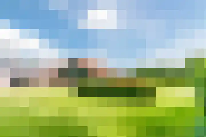 Tinnen Pot 6 Lage Mierde thumbnail 60