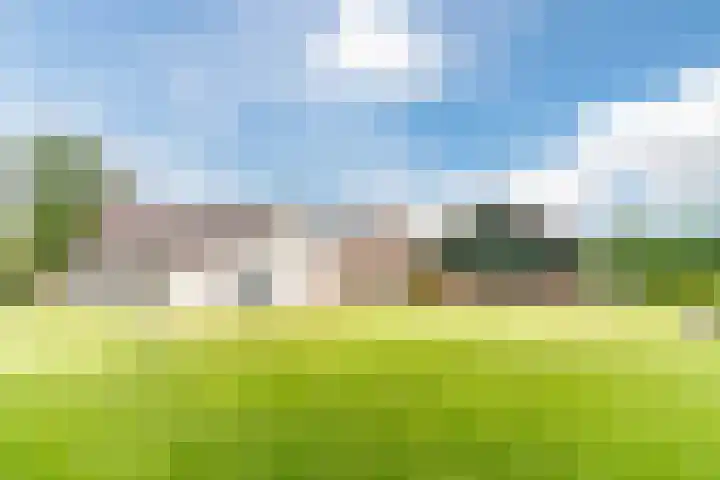 Tinnen Pot 6 Lage Mierde thumbnail 61