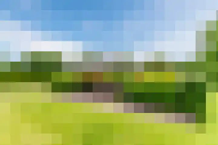 Tinnen Pot 6 Lage Mierde thumbnail 62