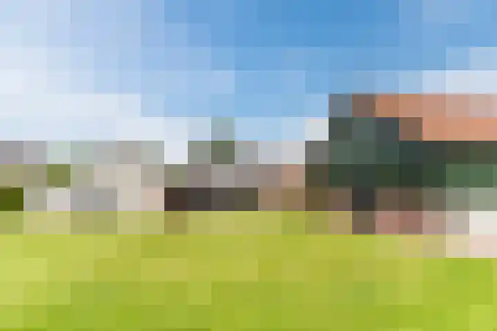 Tinnen Pot 6 Lage Mierde thumbnail 63