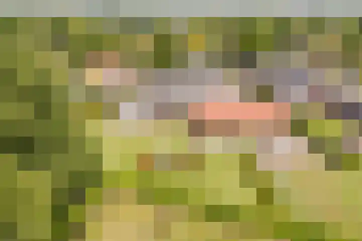 Tinnen Pot 6 Lage Mierde thumbnail 65