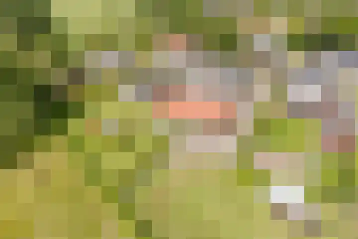 Tinnen Pot 6 Lage Mierde thumbnail 66