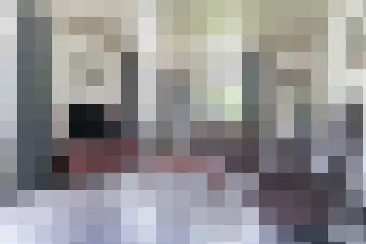 Tinnen Pot 6 Lage Mierde thumbnail 9